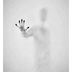 Meet your Posher, Posh